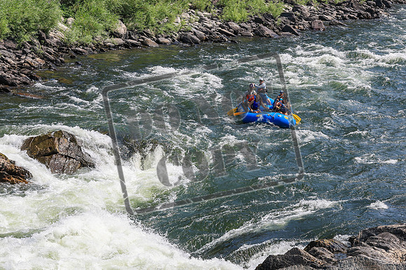 20260731-IMG_1990
