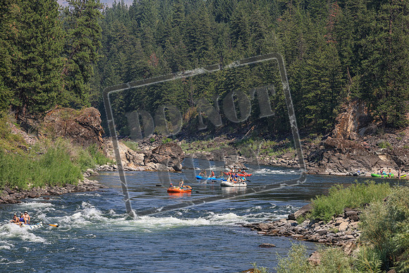 20260731-IMG_3781