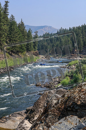 20260731-IMG_2554