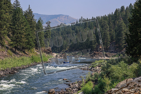 20260731-IMG_2549