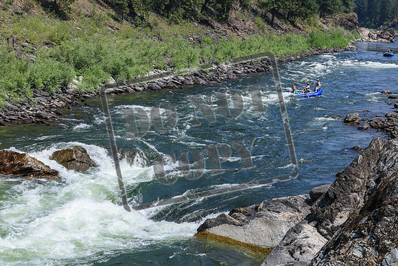 20260731-IMG_2561