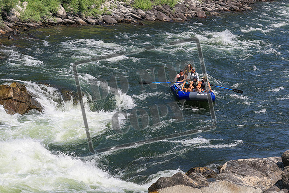 20260731-IMG_3520