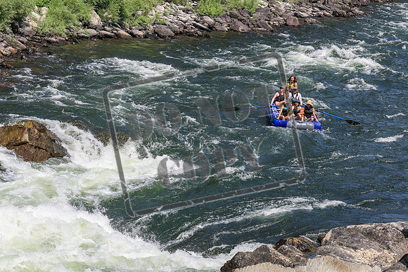 20260731-IMG_3519