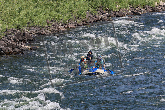 20260731-IMG_2966