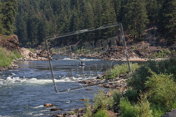 20260731-IMG_2965