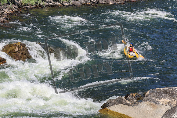 20260731-IMG_4232