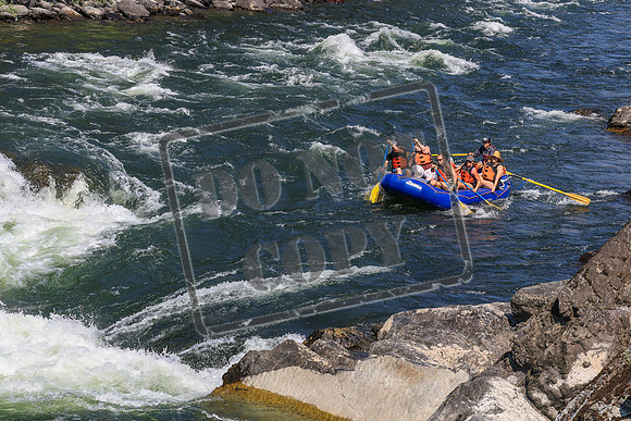 20260731-IMG_4264