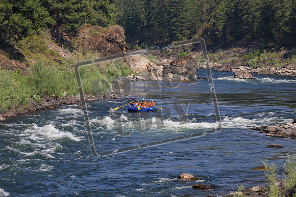 20260731-IMG_4258