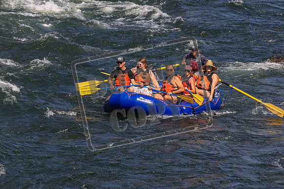 20260731-IMG_4263