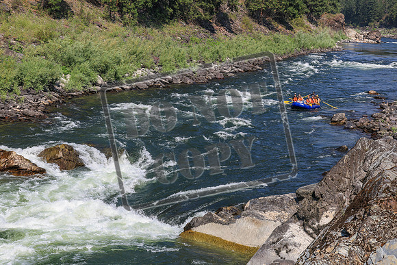20260731-IMG_4262