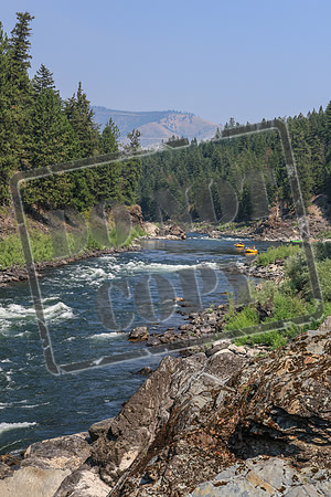 20260731-IMG_3677