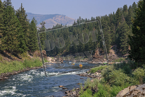 20260731-IMG_3672