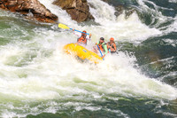 20260731-IMG_3689