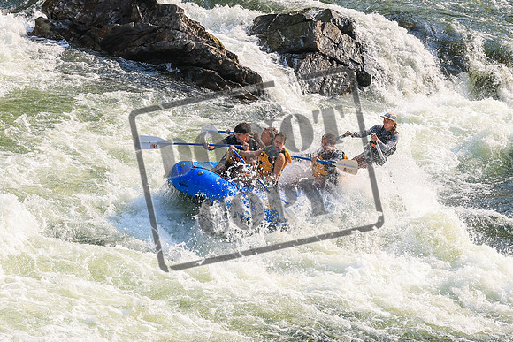 20260801-IMG_4785