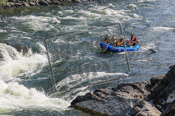 20260801-IMG_5393
