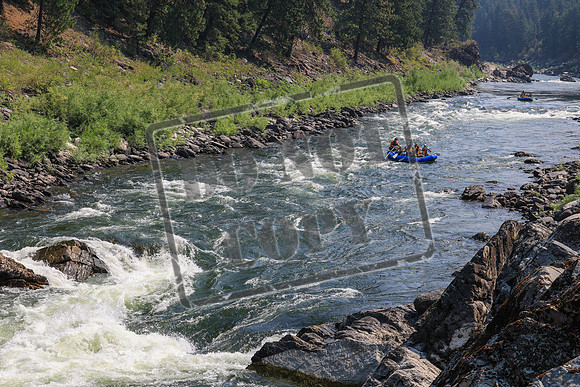 20260801-IMG_5391