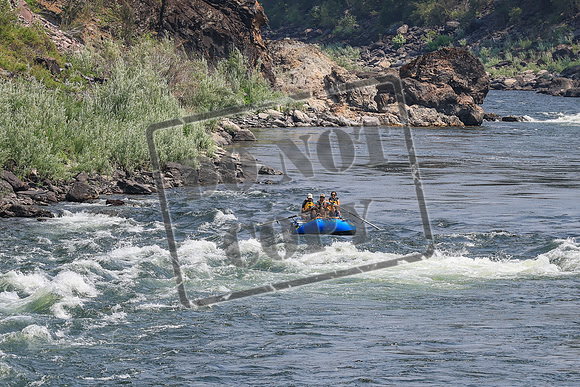 20260801-IMG_7113