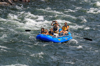 20260801-IMG_7118