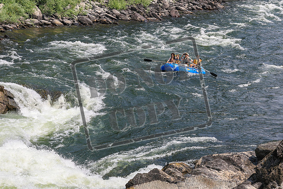 20260801-IMG_7120