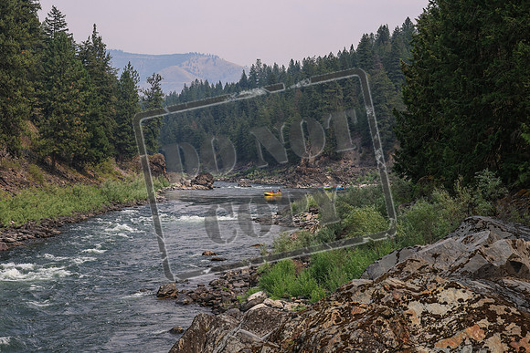 20260801-IMG_8814
