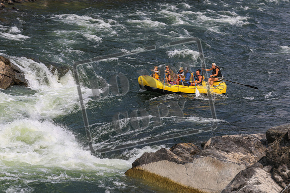 20260801-IMG_8820