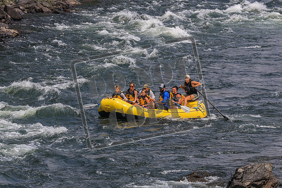20260801-IMG_8818