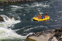 20260801-IMG_8819