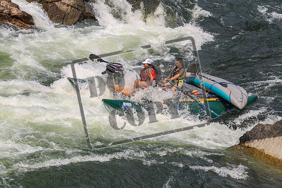 20260801-IMG_9528