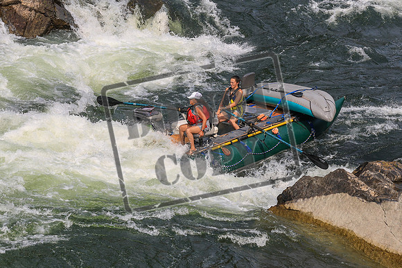 20260801-IMG_9527