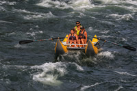 20260801-IMG_0451