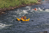20260801-IMG_0449