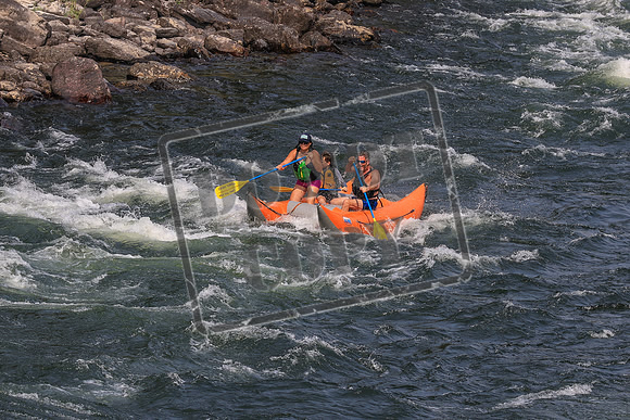 20260801-IMG_0660