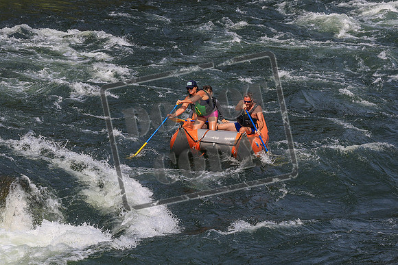 20260801-IMG_0666