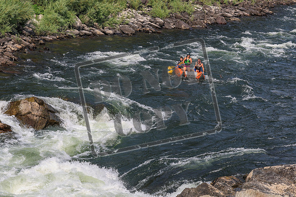 20260801-IMG_0664