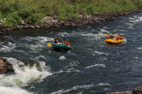 20260801-IMG_0237