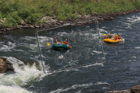 20260801-IMG_0237