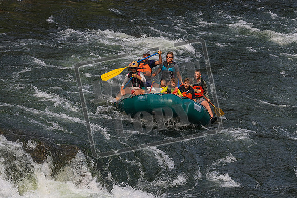 20260801-IMG_0239