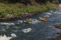 20260801-IMG_0233