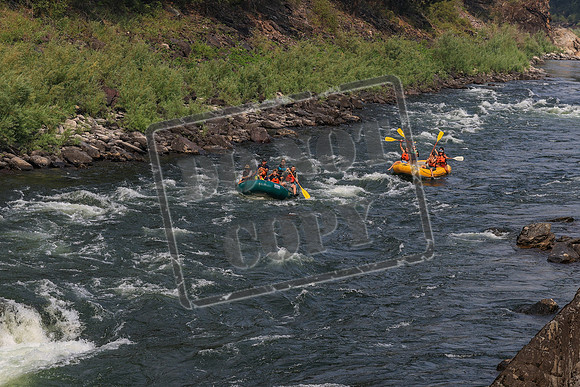 20260801-IMG_0231