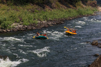20260801-IMG_0234