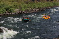 20260801-IMG_0236