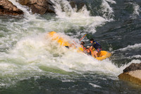 20260801-IMG_0263