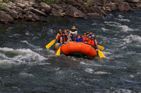 20260801-IMG_0309