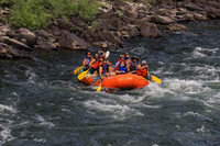 20260801-IMG_0308
