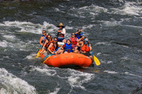 20260801-IMG_0311