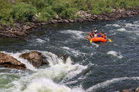 20260801-IMG_0310