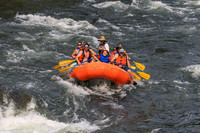 20260801-IMG_0313