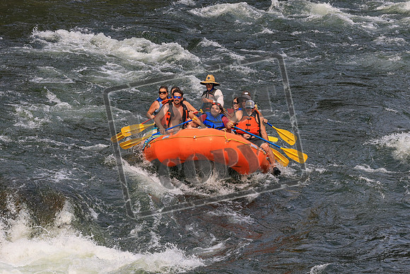 20260801-IMG_0313