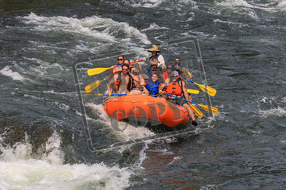20260801-IMG_0314