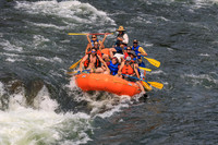 20260801-IMG_0315
